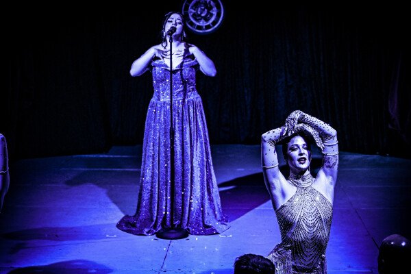 Bellis Weihnachtsvariete