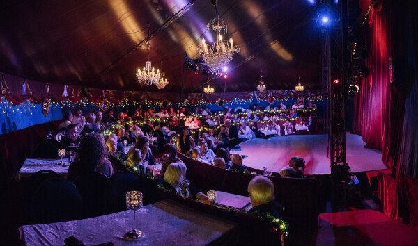 Bellis Weihnachtsvariete