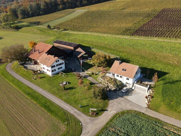 Lieux de mariage, Weinstube - Rebgut Jäger