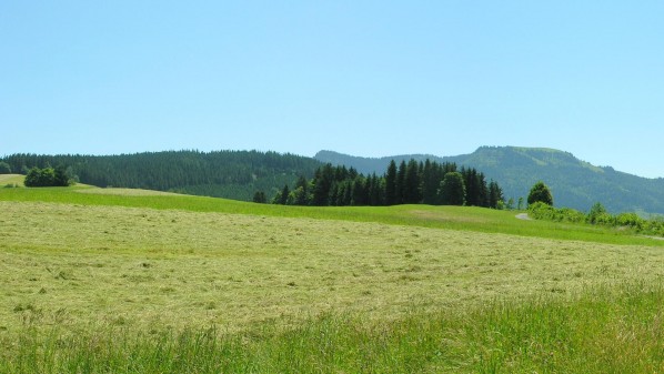 Ferienhaus Hinterberg