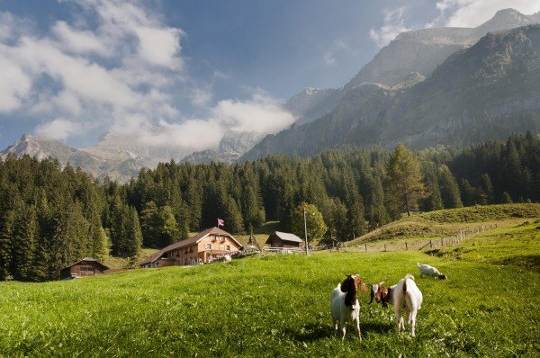 Genusslocations, Alpwirtschaft Unterlauelen