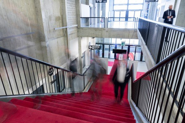 BERNEXPO & FESTHALLE