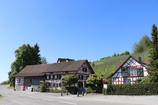 Genusslocations, Restaurant Im Weinberg