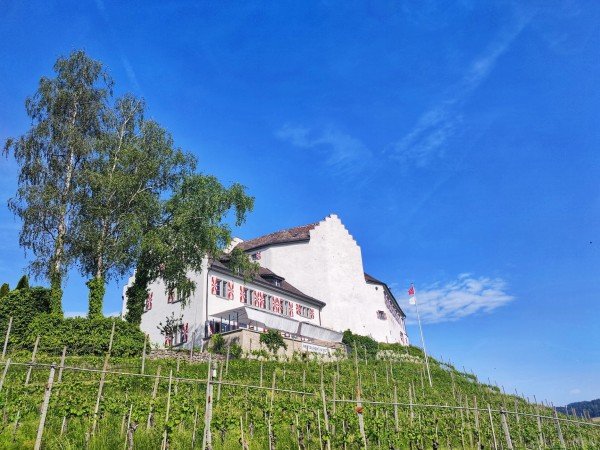 Hochzeitslocations, Hotel & Restaurant Schloss Schwandegg