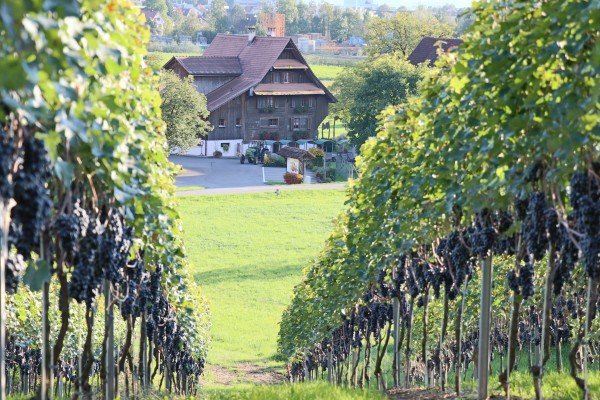 Lieux de mariage, Hof-Märcht / Hotzenhof