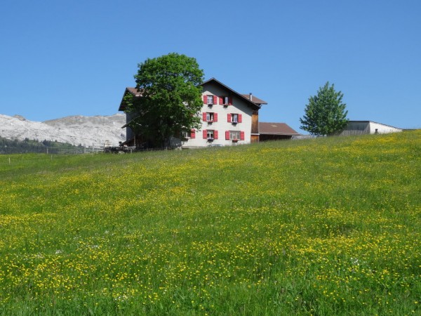 Bauernhof Salwideli