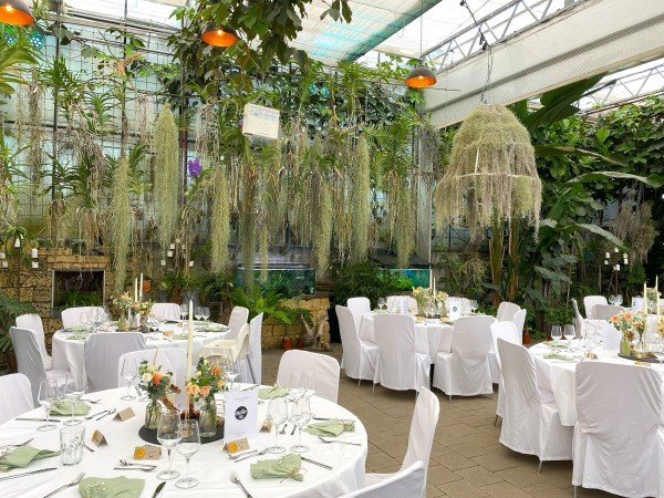 Orchideenhaus - Müller Steinmaur