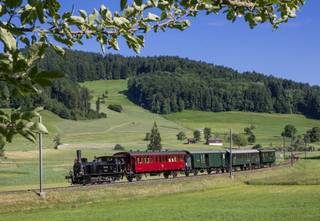Dampfzüge Dampfbahn-Verein Zürcher Oberland DVZO