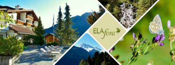 ELAfora - Seminar- und Eventlocation in Graubünden