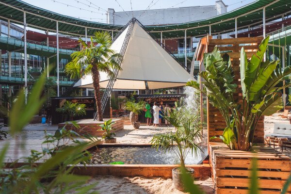 Bars & Clubs, Bambusnest