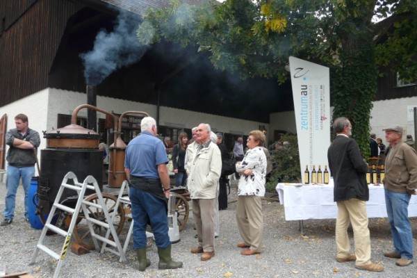 Weinbau Museum Au/Wädenswil