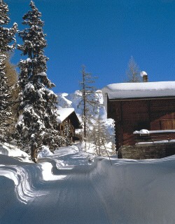 Hotel Alpenhof