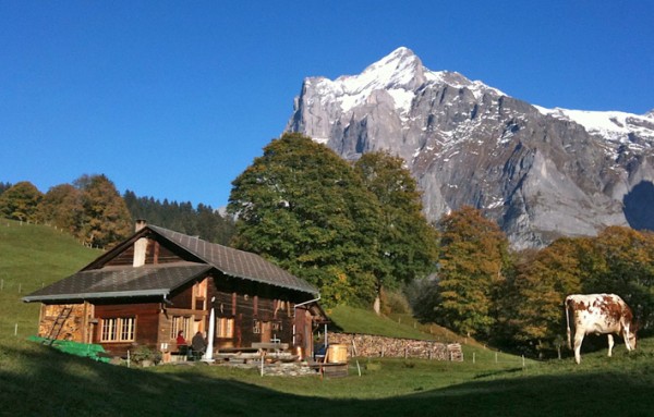 Alphütte "YETI"