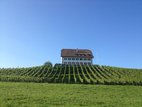 Restaurant Leutschenhaus Freienbach