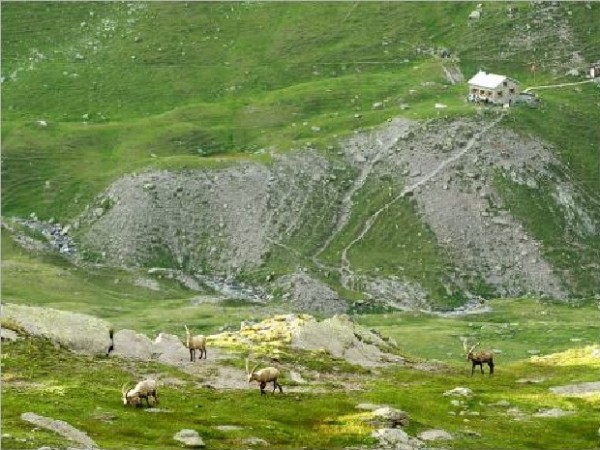 Ramozhütte SAC Berghütte mieten