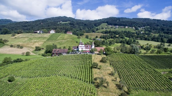 Restaurant Schloss Weinstein