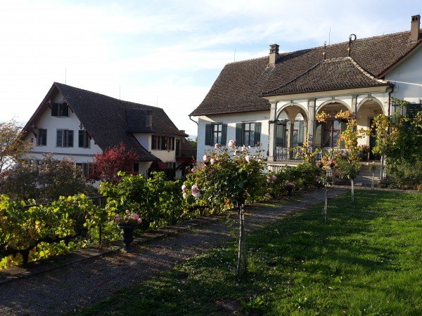 Weingut SCHIPF