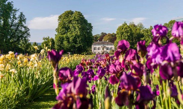 Lieux de mariage, Restaurant Iris in den Merian Gärten