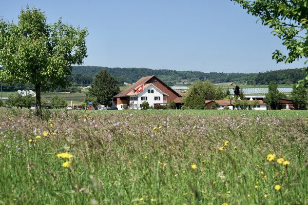 Stallstube Riethof