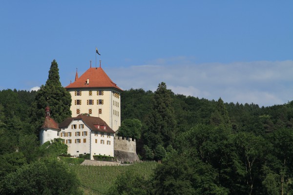 Schloss Heidegg - Hochzeiten Aperos Firmenevents