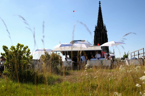 Restaurant & Bar Noohn