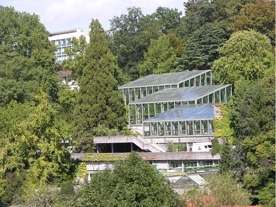 Botanischer Garten der Universität Bern