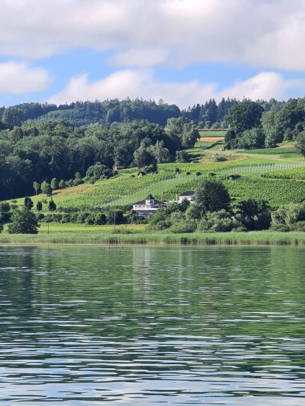 Villa Felber - Einzigartig & sehr exklusiv!