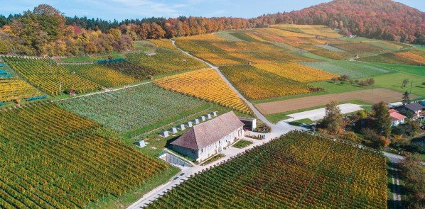 Hochzeitslocations, Bergtrotte Osterfingen